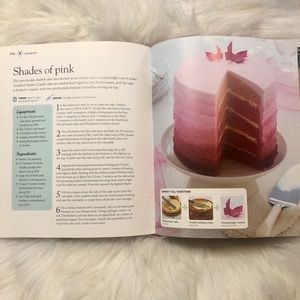 Step-By-Step Cake Decorating Book